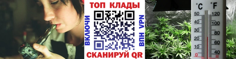 Виды наркотиков купить Сыктывкар ГЕРОИН  Cocaine  Alpha PVP  Меф мяу мяу  Марихуана 