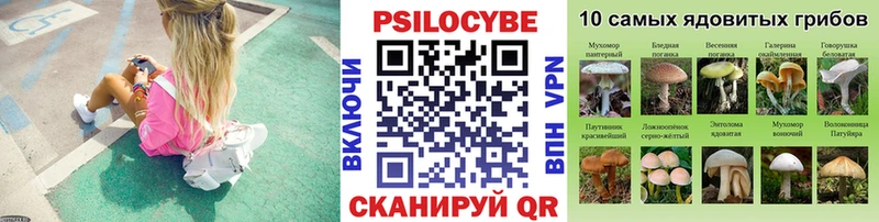 Галлюциногенные грибы мицелий  mega рабочий сайт  дарк нет телеграм  Сыктывкар 