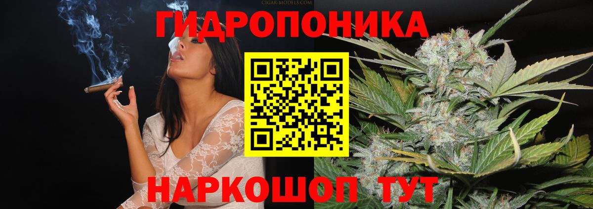 Каннабис семена Сыктывкар